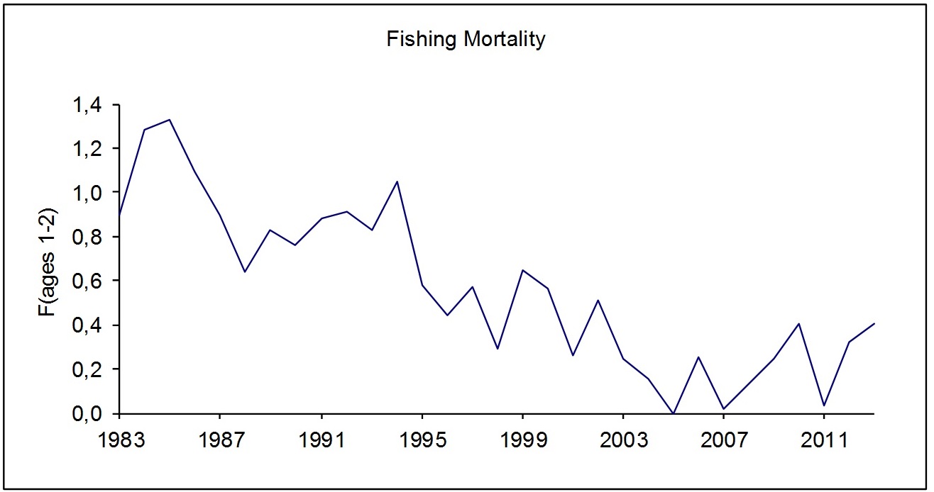 Fiskedødelighet