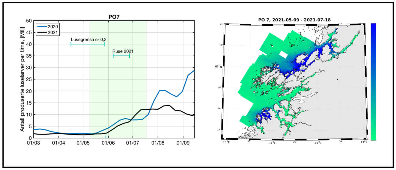 Figur 29. Produksjon av klekte luseegg fra oppdrettsanlegg i produksjonsområde 7 i tidsrommet mars - september i 2020 og 2021. Grønt felt indikerer en periode på 70 døgn hvor en regner med at en stor andel sjøørret benytter det marine habitatet i produksjonsområdet. Figuren illustrerer også tidsrom for lavere lusegrense i oppdrettsanlegg og omtrentlig tidsrom for overvåking i dette produksjonsområdet (ruse 2021, t.v.). Kartet illustrerer modellert fordeling av kopepoditter i produksjonsområdet summert over den samme 70 døgns perioden. Grønn farge i kartet indikerer lav tetthet av kopepoditter og blå farge i kartet indikerer høyere tetthet med kopepoditter t.h. Perioden på 70 døgn er lagt 20 døgn før og 50 døgn etter teoretisk 50 prosent laksesmoltutvandring for produksjonsområdet.