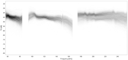 broadband frequency response