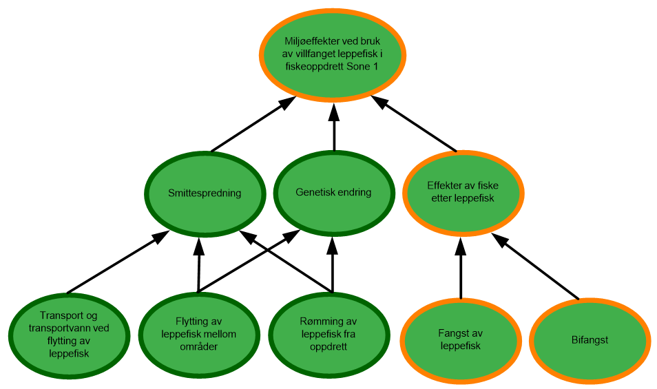 diagram over risiko for miljøeffekter sone 1